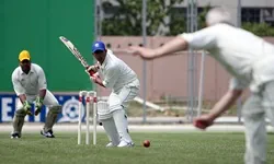 Cricket over-under betting market